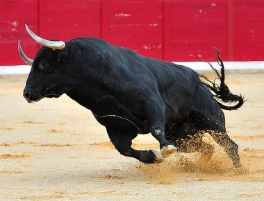 Μαινόμενος ταύρος βλέπει τροχονόμο και επιτίθεται - Σοκαριστικές εικόνες (βίντεο)